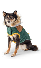Load image into Gallery viewer, GF Pet - Lodge Parka - Forest
