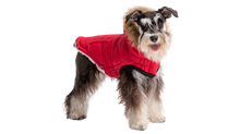 Load image into Gallery viewer, GF Pet - Urban Parka
