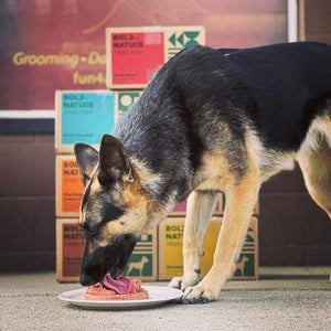 Bold By Nature - Mega Blend for Dogs