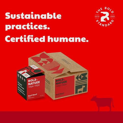 Bold By Nature - Mega Beef for Dogs
