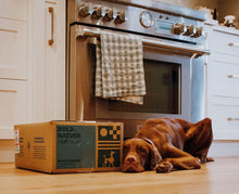 Load image into Gallery viewer, Bold By Nature - Mega Duck for Dogs