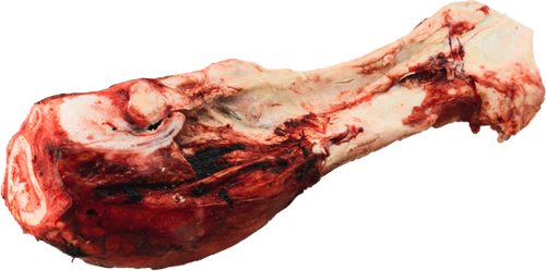 K9 Choice - Dino Bone