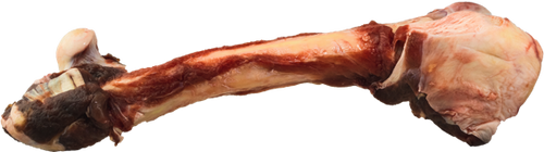 K9 Choice Foods - Kangaroo Leg Bone