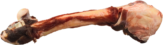 K9 Choice Foods - Kangaroo Leg Bone
