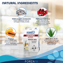 Load image into Gallery viewer, Forza 10 - Dermo Active Dog Food