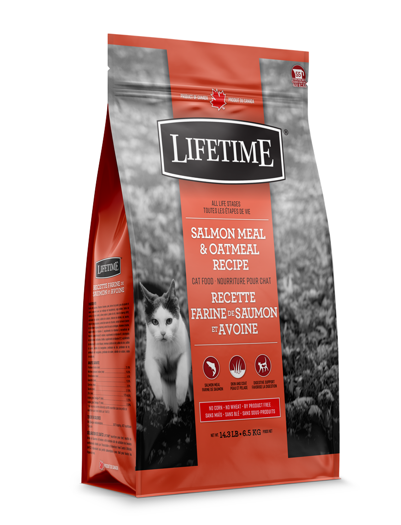Lifetime - Salmon and Oatmeal Cat Food