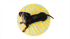 GF Pet - Round Ice-Mat