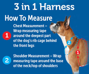 PetSafe - 3 in 1 Harness