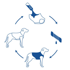 GF Pet - Elastofit® Ice-Vest®