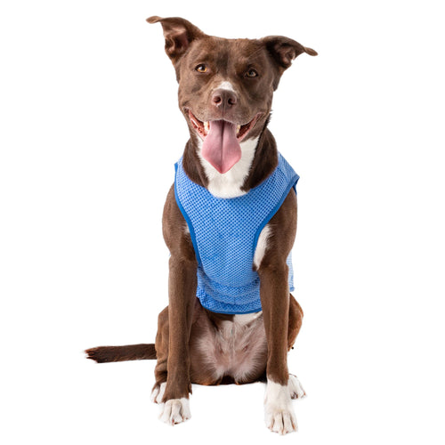 GF Pet - Elastofit® Ice-Vest®