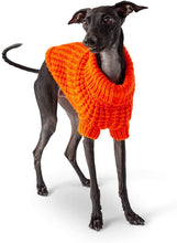 Load image into Gallery viewer, GF Pet - Scout Sweater