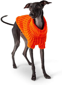 GF Pet - Scout Sweater