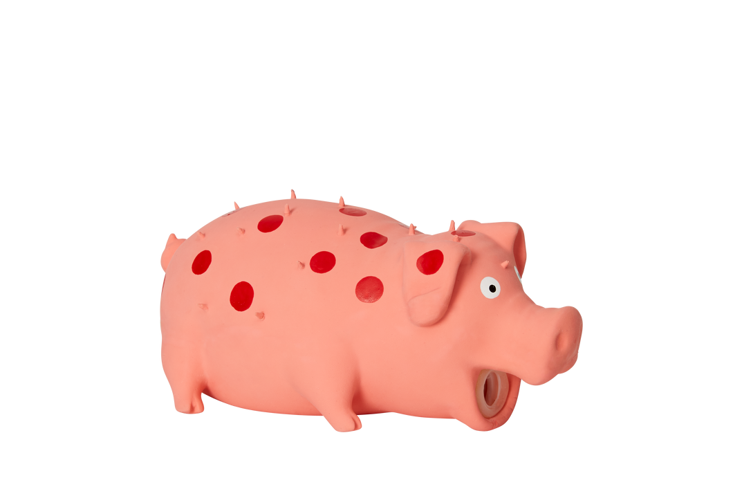 Bud'z - Latex Spotted Pig Honking Dog Toy - Pink