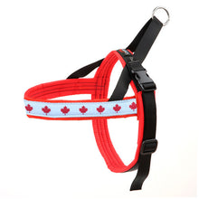 Load image into Gallery viewer, Comfort Flex Harness - Made in USA - Canadian Patriot