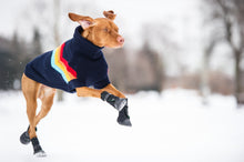 Load image into Gallery viewer, GF Pet - Elastofit Boots