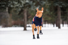 Load image into Gallery viewer, GF Pet - Elastofit Boots