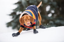 Load image into Gallery viewer, GF Pet - Elastofit Boots