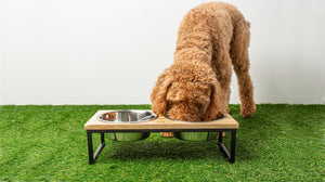 GF Pet - Wood and Metal Feeder
