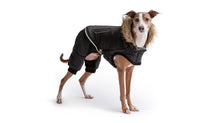Load image into Gallery viewer, GF Pet - Creekside Snowsuit
