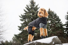 Load image into Gallery viewer, GF Pet - Creekside Snowsuit