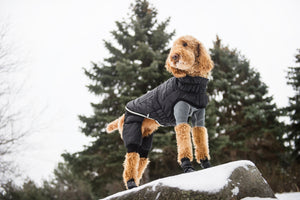 GF Pet - Creekside Snowsuit