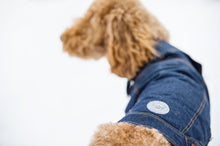 Load image into Gallery viewer, GF Pet - Denim Coat