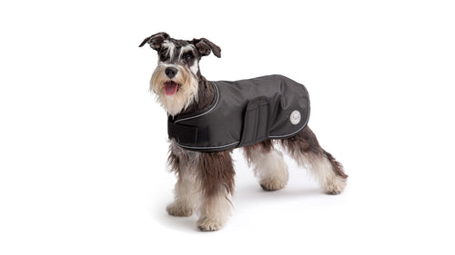 GF Pet - Blanket Jacket