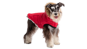GF Pet - Urban Parka