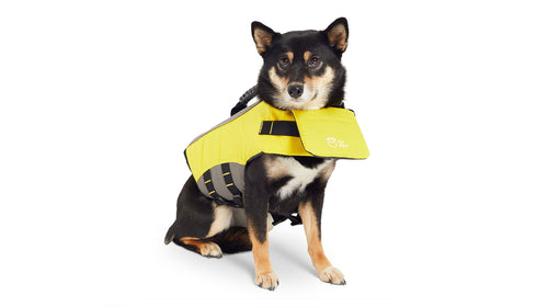 GF Pet - Life Vest