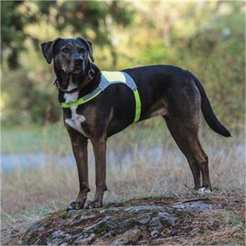 Shedrow K9 Viking Reflective Vest