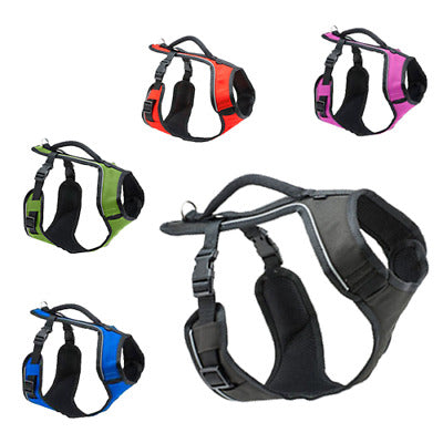 PetSafe - Easy Sport Harness