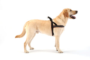 Comfort Flex Harness - Made in USA