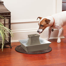 Load image into Gallery viewer, PetSafe - Drinkwell Pergoda Pet Fountain - Taupe
