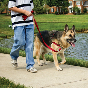 PetSafe - Easy Walk Harness