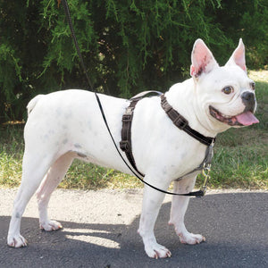 PetSafe - 3 in 1 Harness