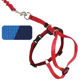 PetSafe Come With Me Kitty Harness and Bungee Leash Bone