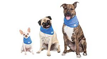 Load image into Gallery viewer, GF Pet - Ice-Band®