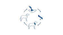 Load image into Gallery viewer, GF Pet - Ice-Band®