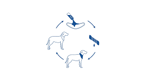 GF Pet - Ice-Band®