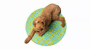 GF Pet - Round Ice-Mat